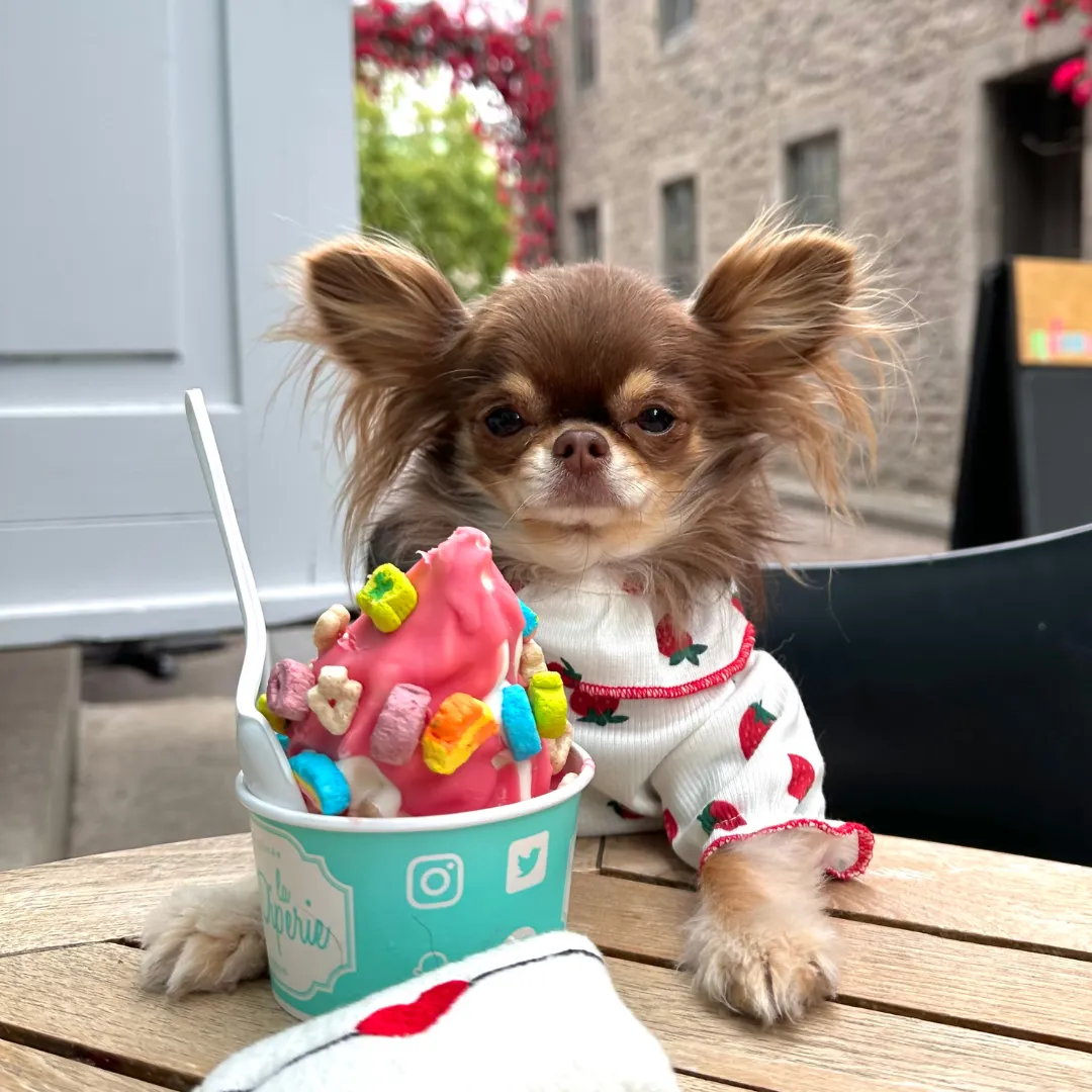 Strawberry Ruffles Shirt